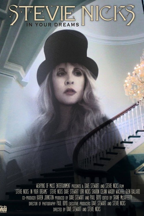 Stevie Nicks: In Your Dreams poster