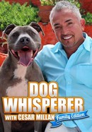 Dog Whisperer With Cesar Millan: Family Edition poster image