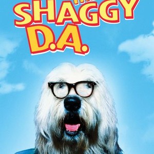 The Shaggy D.A. photo 4