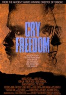 Cry Freedom poster image