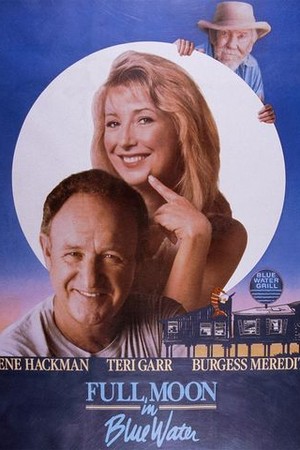 Full Moon in Blue Water poster