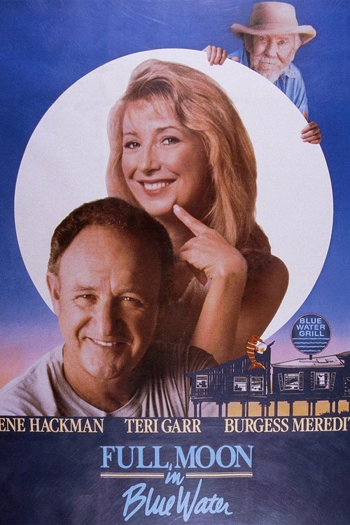 Full Moon in Blue Water poster