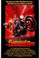Survival Run poster image