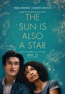 The Sun Is Also a Star poster image