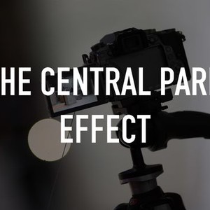 The Central Park Effect photo 10
