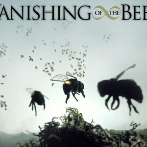 Vanishing of the Bees photo 3
