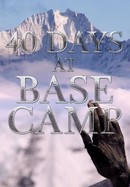 40 Days at Base Camp poster image