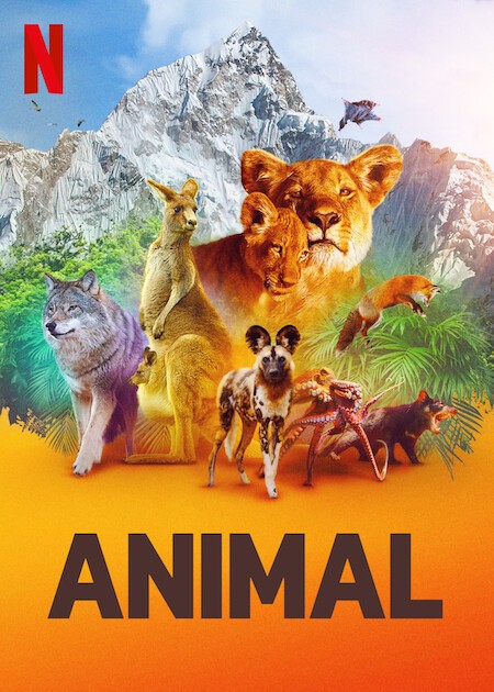 Animal Pictures | Rotten Tomatoes
