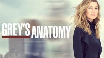 Watch series greys shop anatomy season 16