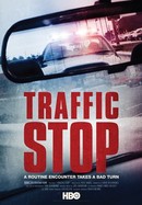 Traffic Stop poster image