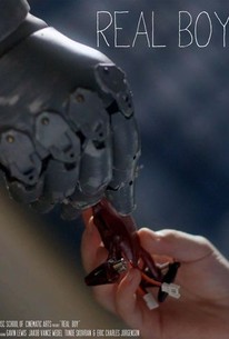 Real Boy 2015 Rotten Tomatoes