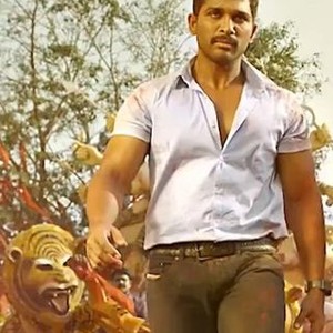sarrainodu dvd online sarrainodu dvd online