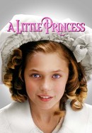 A Little Princess poster image
