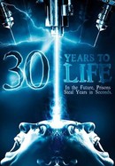 30 Years to Life poster image