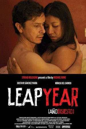 Leap Year poster
