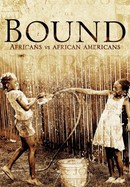 Bound: Africans vs. African Americans poster image