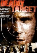 Deadly Target poster image