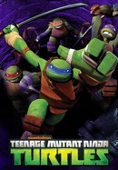 Teenage Mutant Ninja Turtles poster image