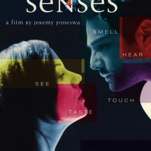 "The Five Senses photo 7"