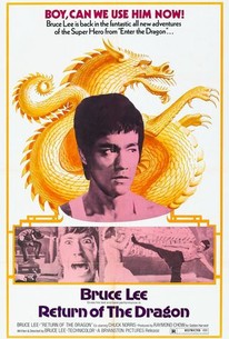 Return of the Dragon poster