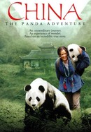 China: The Panda Adventure poster image