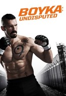 Boyka: Undisputed poster image