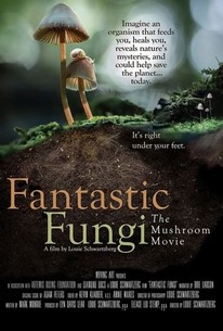 Watch trailer for Fantastic Fungi