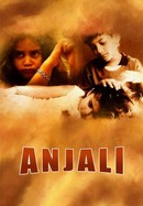 Anjali poster image