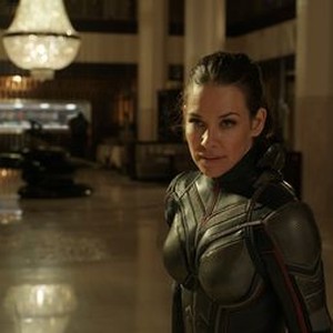 Ant-Man and The Wasp photo 4