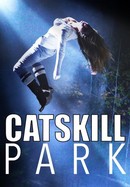 Catskill Park poster image