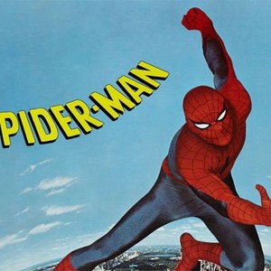 The Amazing Spider-Man photo 7