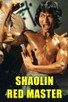 Poster for