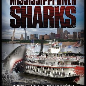 "Mississippi River Sharks photo 2"