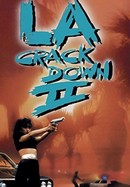 L.A. Crackdown II poster image