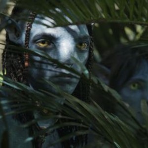 Avatar: The Way of Water photo 13