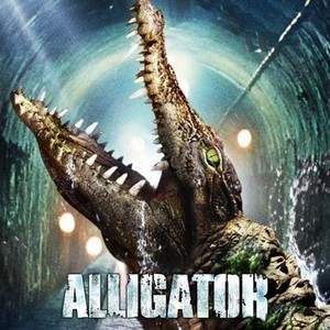 Alligator photo 6