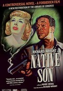 Native Son poster image