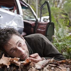 Adrien Brody as Man in "Wrecked." photo 10
