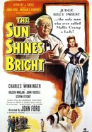 The Sun Shines Bright poster image
