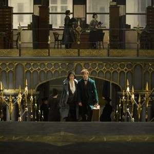 Fantastic Beasts and Where to Find Them photo 10