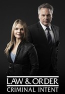 Law & Order: Criminal Intent poster image