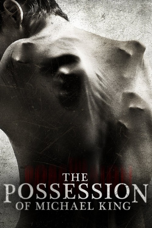 The Possession of Michael King poster