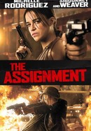 The Assignment poster image