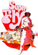 Superfly poster image