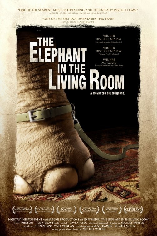 The Elephant In Living Room