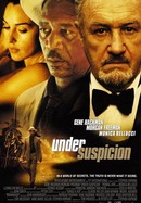 Under Suspicion poster image