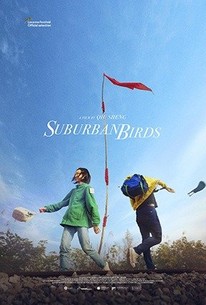 Watch trailer for Suburban Birds
