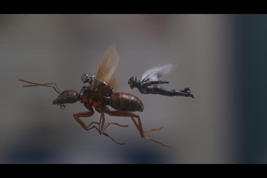 Film Ant Man and the Wasp memperkenalkan karakter superhero wanita baru The Wasp, 