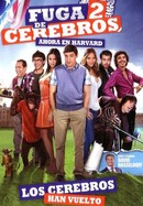 Fuga de cerebros 2 poster image