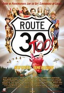 Route 30, Too! poster image